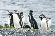 Foto: Tierra del Fuego. Gateway to the Icy Continent